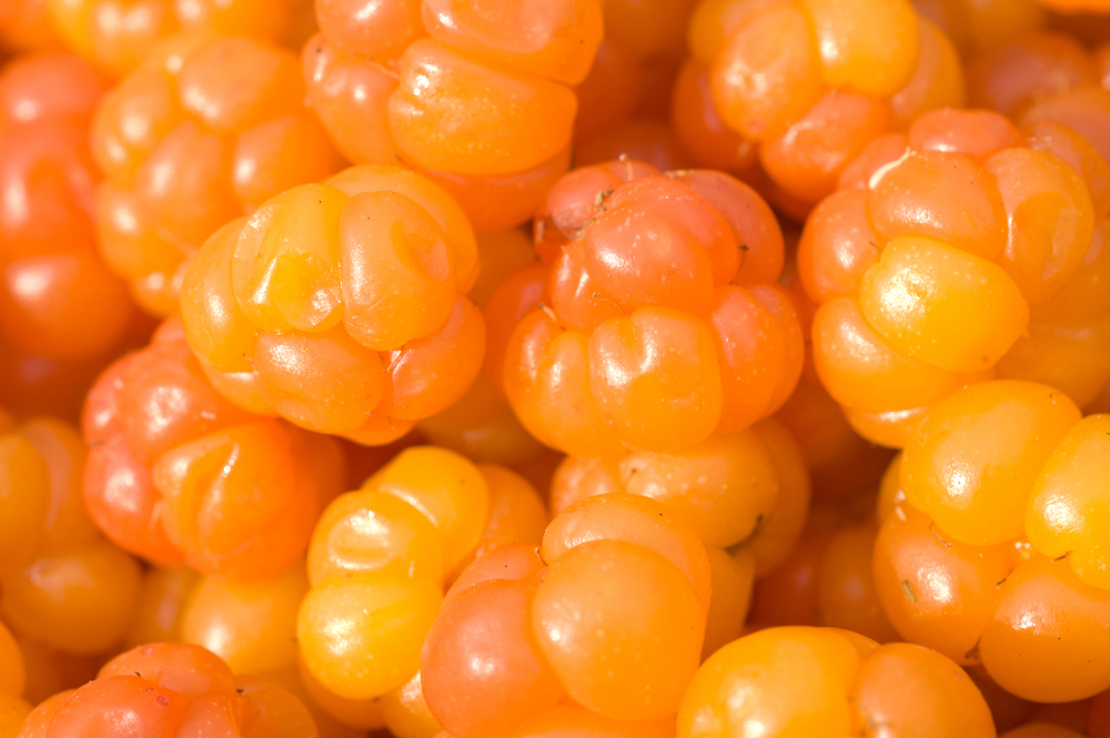 Cloudberries